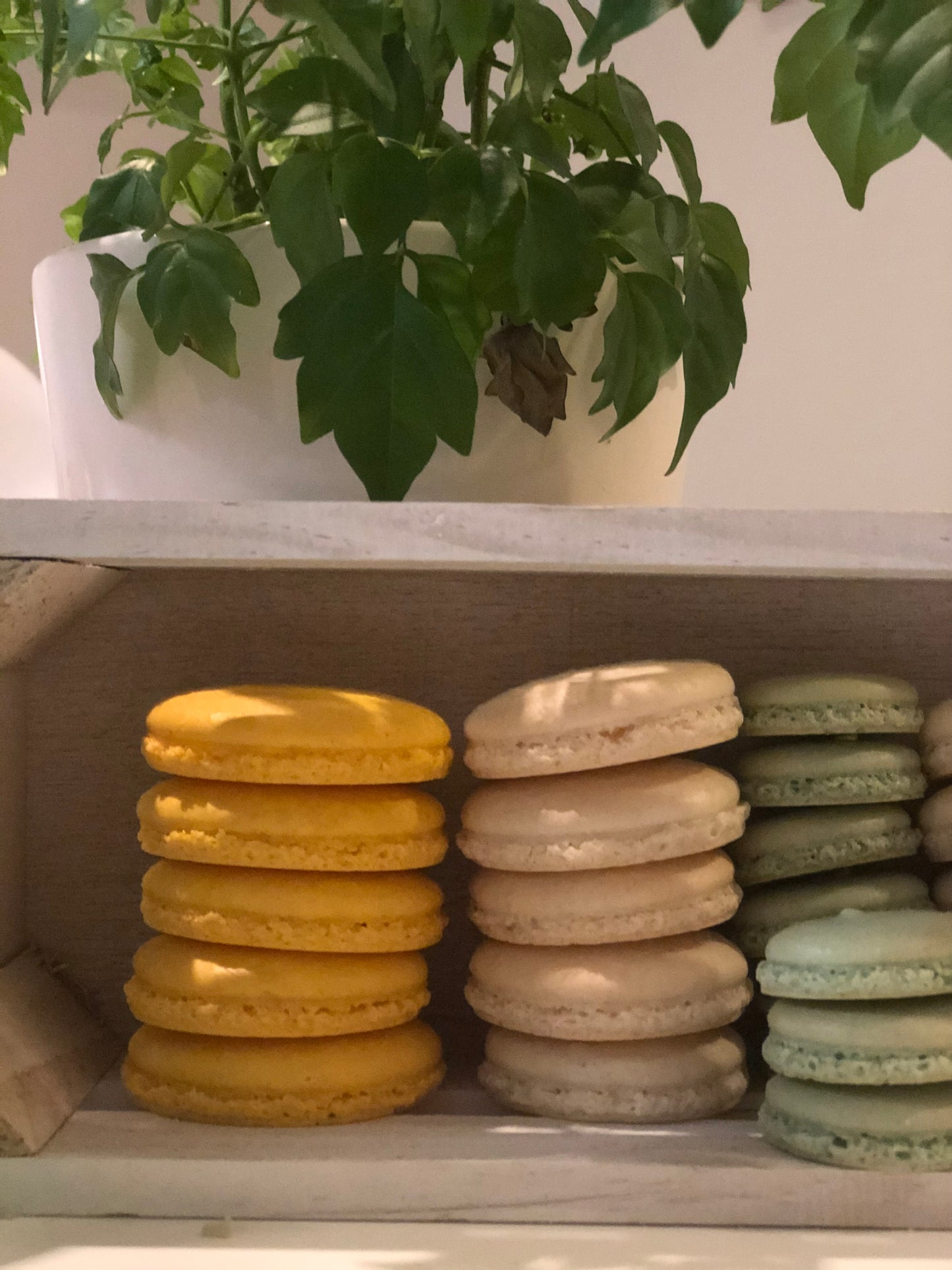 Wedding macarons