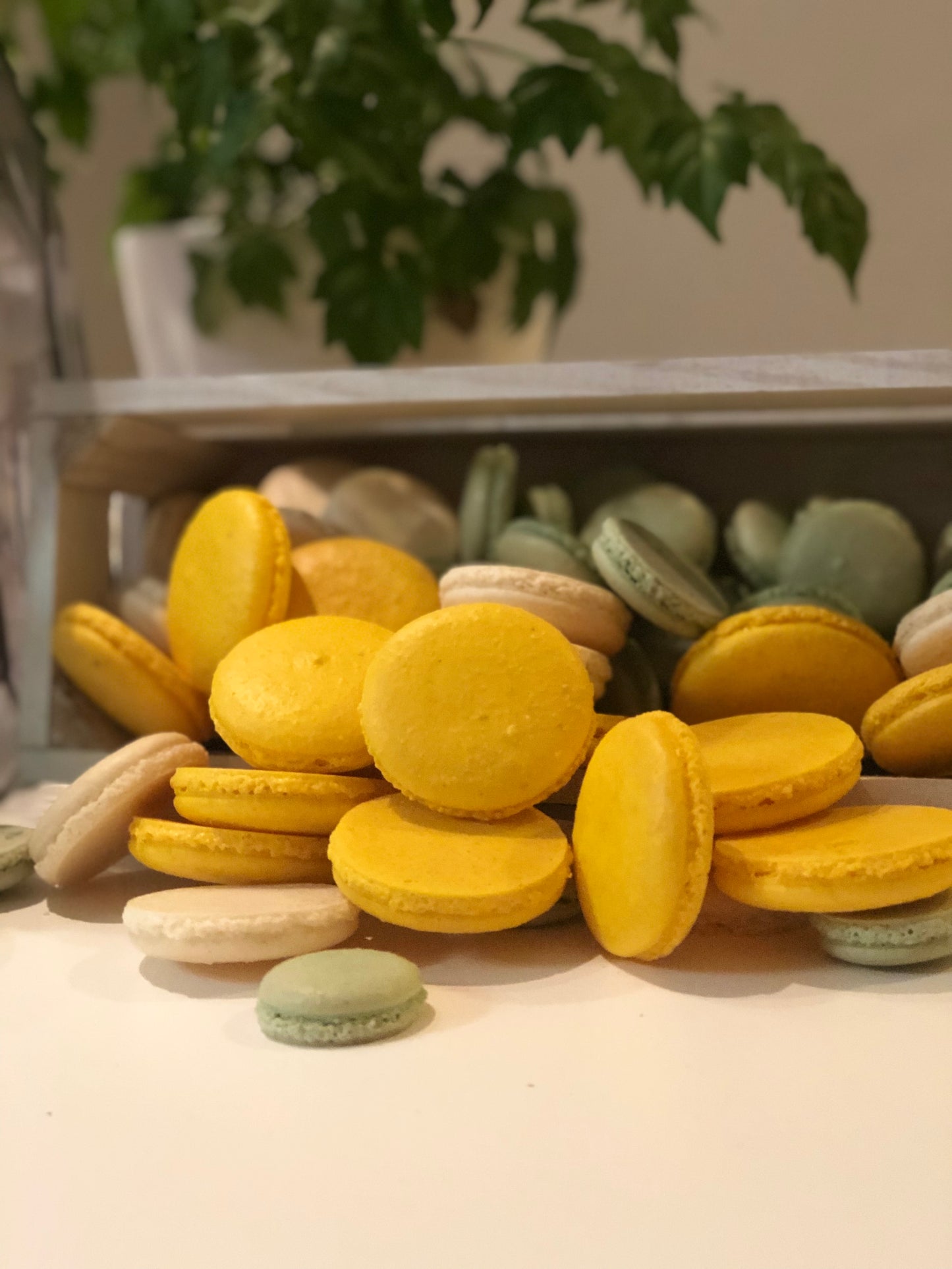 Wedding macarons